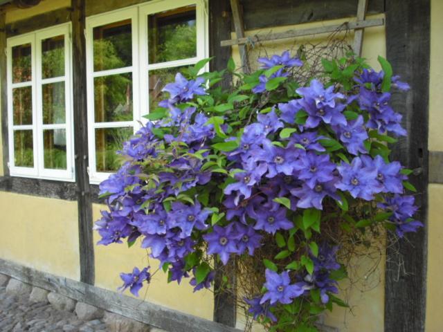 Landhaus Kiesow Suderburg Luaran gambar