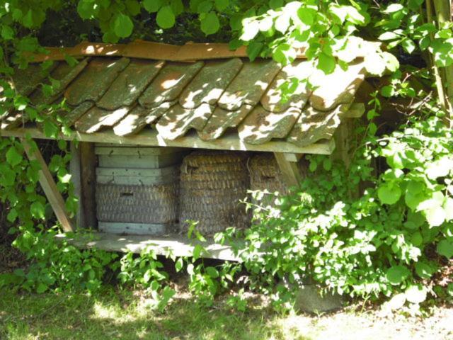 Landhaus Kiesow Suderburg Luaran gambar